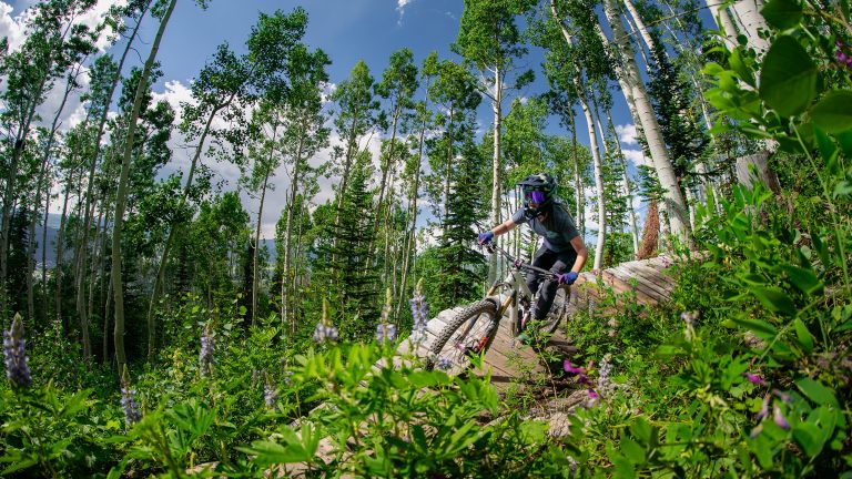 BikeTicket_2400x1350-768x432